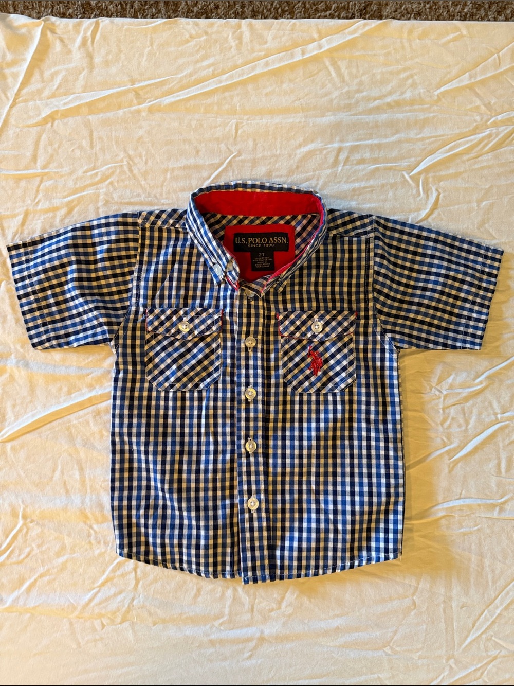 U.S. Polo Assn. Blue and White Gingham Button-Down Shirt with Red Logo